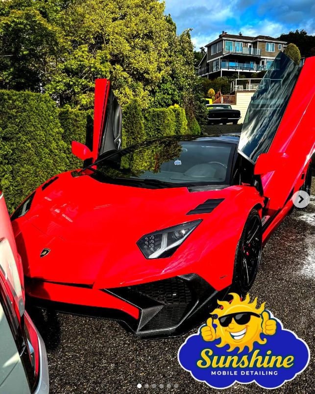 Detailed red Lamborghini by Sunshine Mobile Detailing